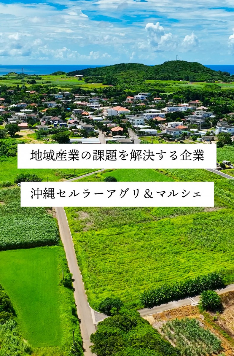 地域産業の課題を解決する企業沖縄セルラーアグリ＆マルシェ